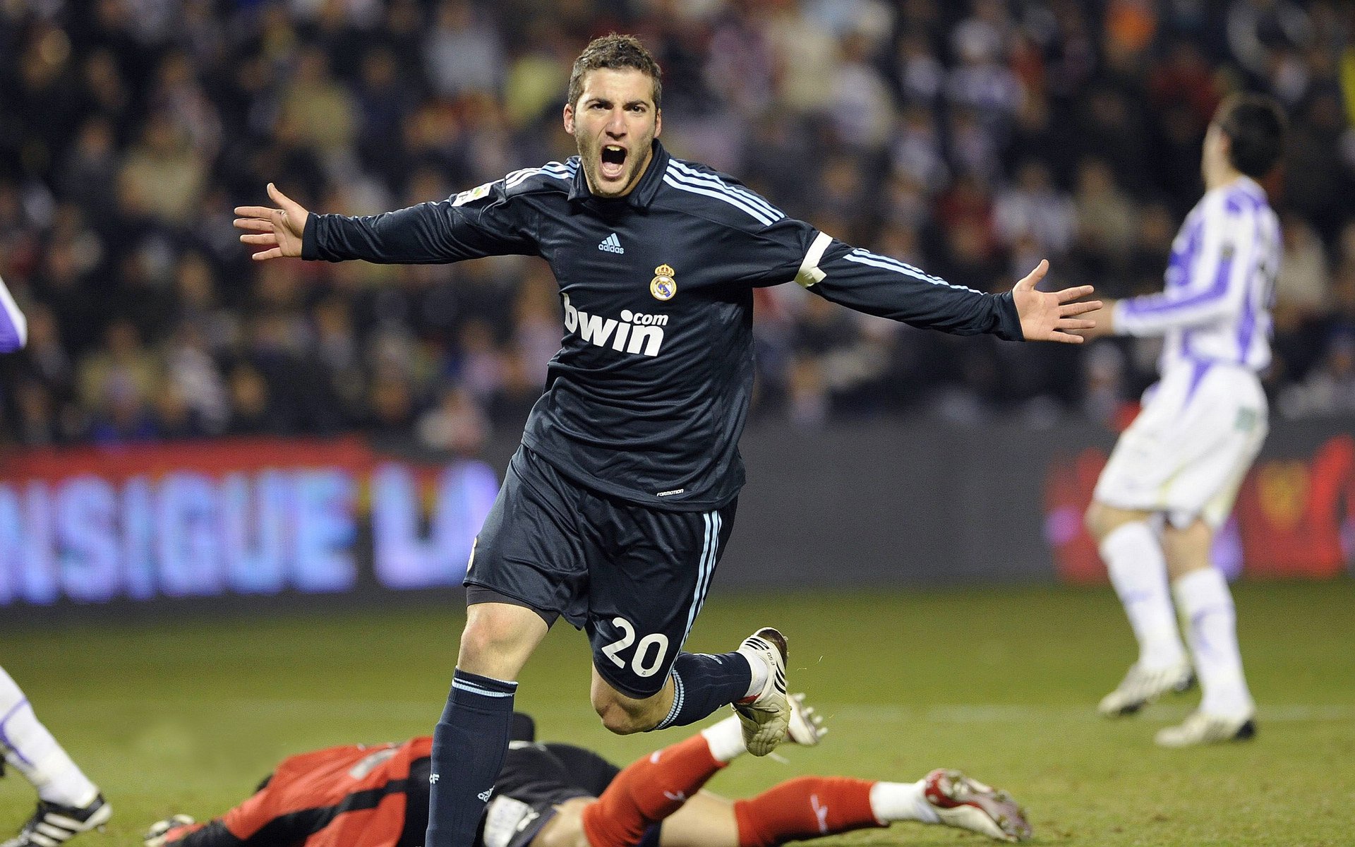 星空体育娱乐-逆境求生：危机时刻球队如何调整战略？，逆境求生的狮群